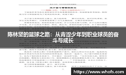 陈林坚的篮球之路：从青涩少年到职业球员的奋斗与成长